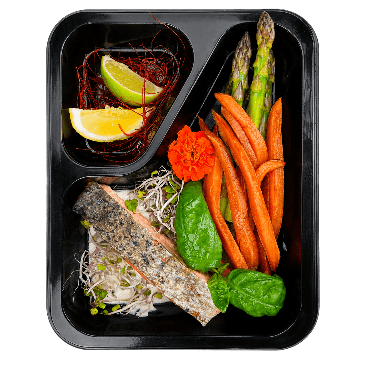 Packshot diety Fit Vegetarian + Fish